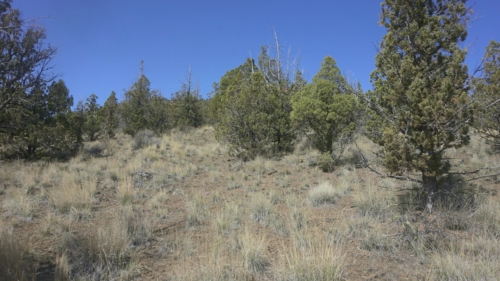 4.15 Acres,, Off-Grid forest Land in Prineville OR