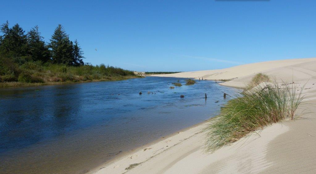 OR, Coos, 1007456700, 1.04 Acres 1.04 Acres, Coos, Oregon 1007456700 - Image 7