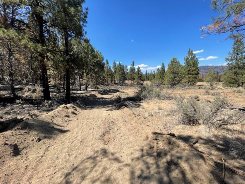 21.07 Acres, Chiloquin Oregon, 00200 APXN Property