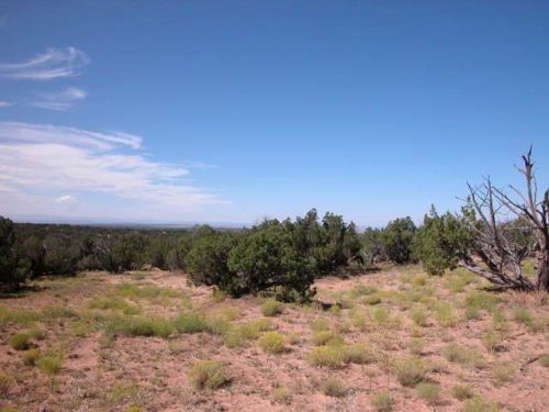10 acres of vacant land for sale in Arizona