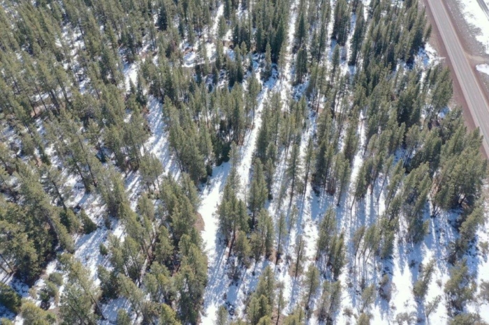 2.29 Acres, Klamath County, Oregon, 03400 2.29 Acres, Klamath, Oregon R-3711-015D0-03400-000 - Image 15