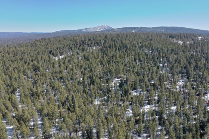 Klamath County land for sale