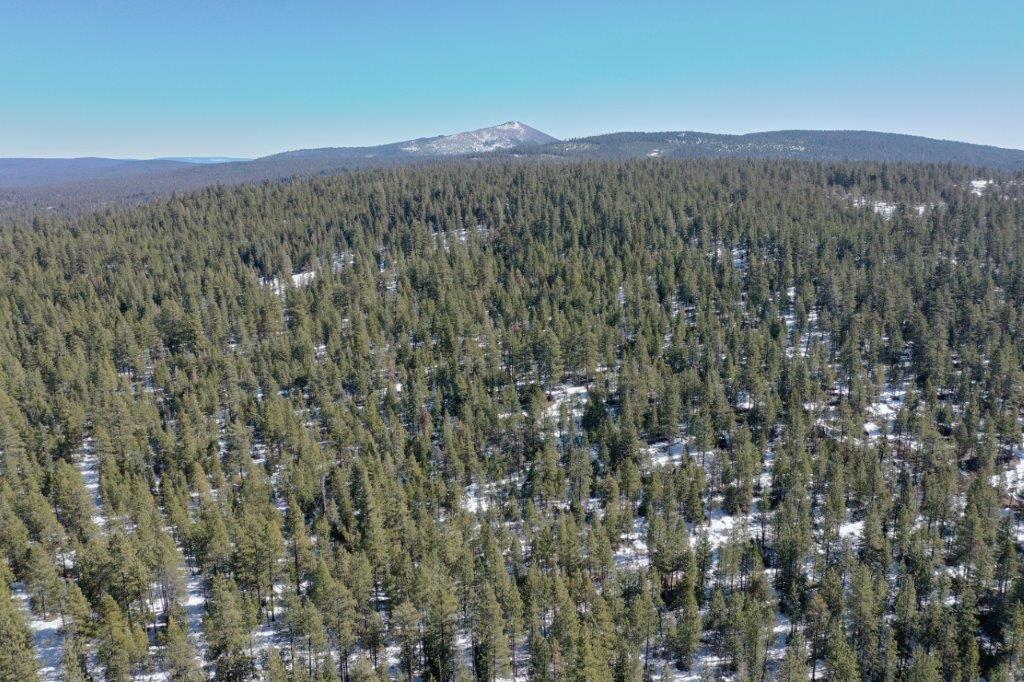 Klamath County land for sale