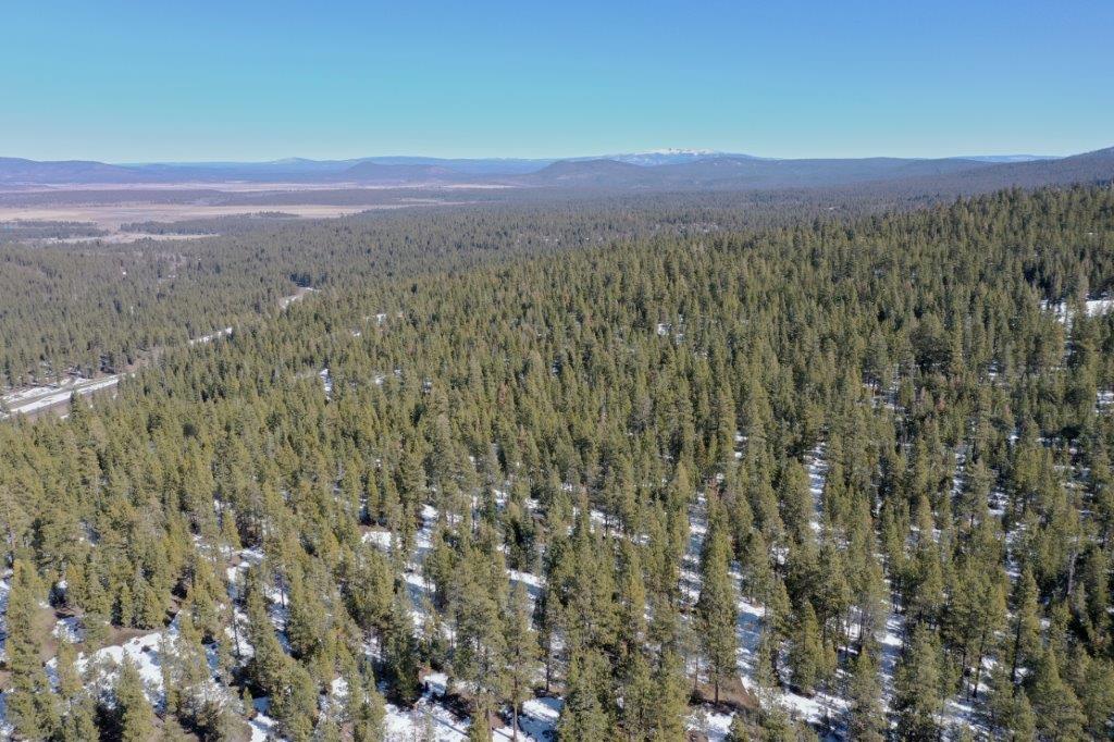 2.29 Acres, Klamath County, Oregon, 03400 2.29 Acres, Klamath, Oregon R-3711-015D0-03400-000 - Image 3