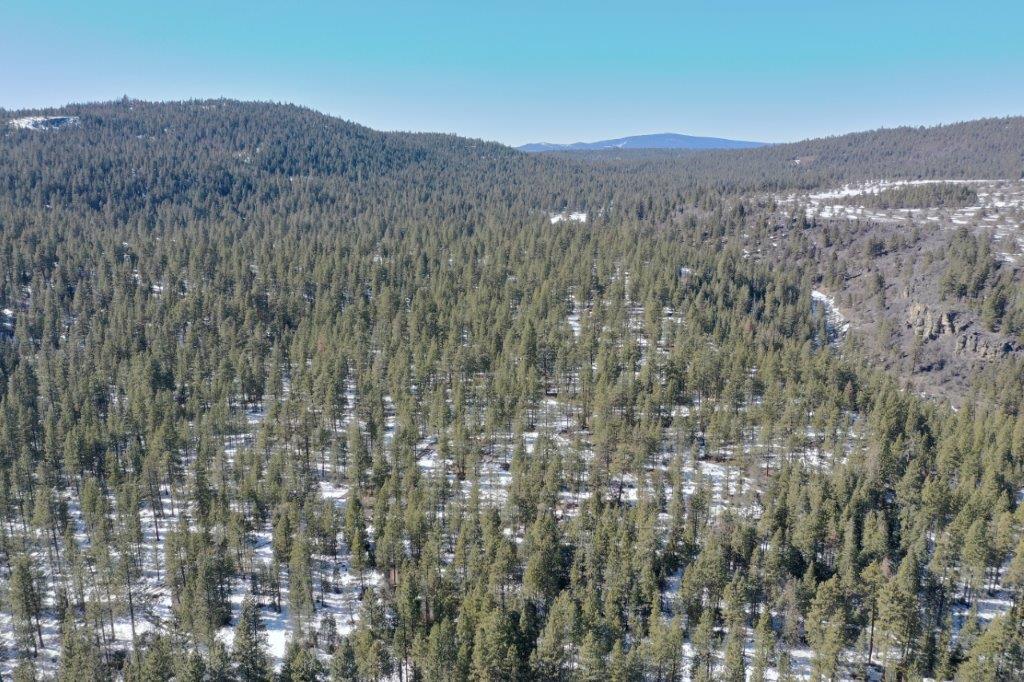 2.29 Acres, Klamath County, Oregon, 03400 2.29 Acres, Klamath, Oregon R-3711-015D0-03400-000 - Image 4