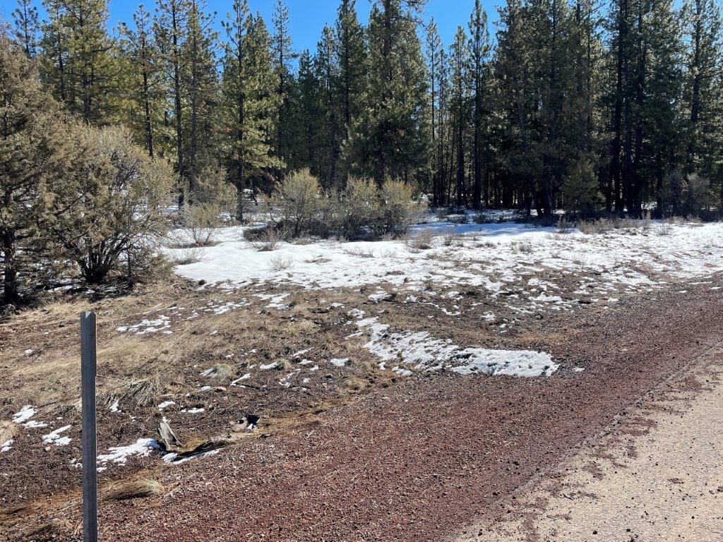 2.29 Acres, Klamath County, Oregon, 03400 2.29 Acres, Klamath, Oregon R-3711-015D0-03400-000 - Image 5