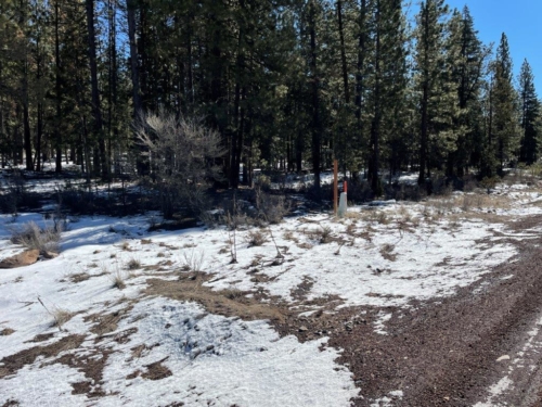 Klamath land of 2.9 acres in the forest