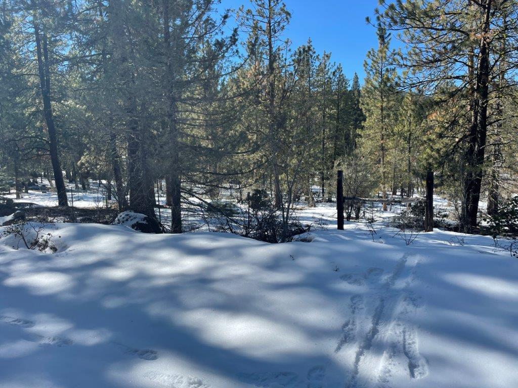 2.29 Acres, Klamath County, Oregon, 03400 2.29 Acres, Klamath, Oregon R-3711-015D0-03400-000 - Image 8