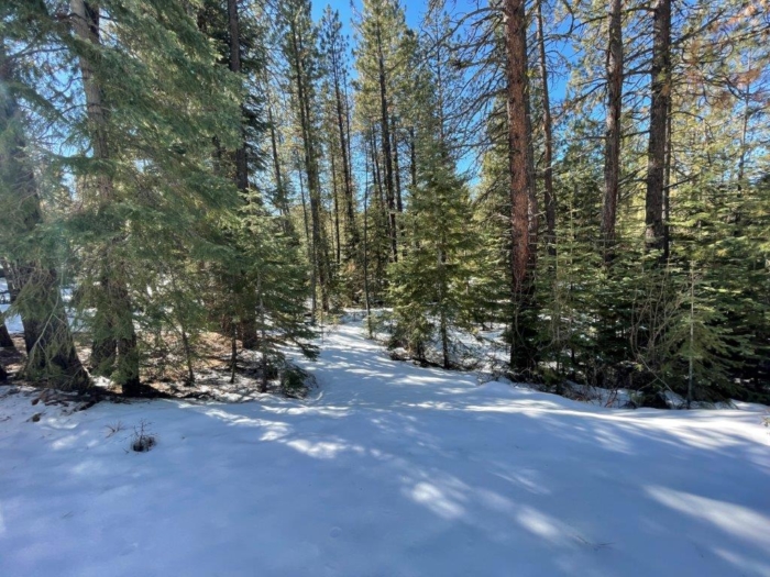 2.29 Acres, Klamath County, Oregon, 03400 2.29 Acres, Klamath, Oregon R-3711-015D0-03400-000 - Image 9