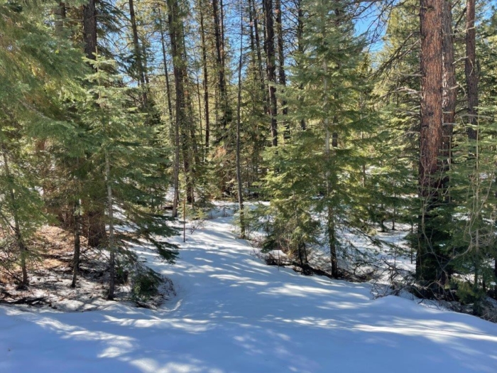 2.29 Acres, Klamath County, Oregon, 03400 2.29 Acres, Klamath, Oregon R-3711-015D0-03400-000 - Image 10