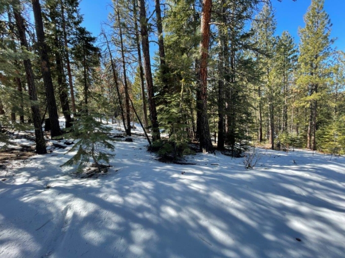 2.29 Acres, Klamath County, Oregon, 03400 2.29 Acres, Klamath, Oregon R-3711-015D0-03400-000 - Image 11