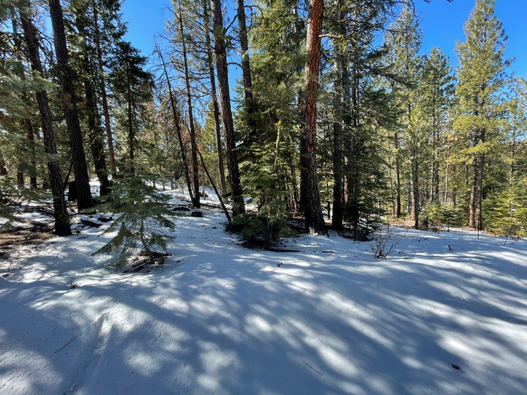 2.29 Acres, Klamath County, Oregon, 03400 2.29 Acres, Klamath, Oregon R-3711-015D0-03400-000 - Image 11