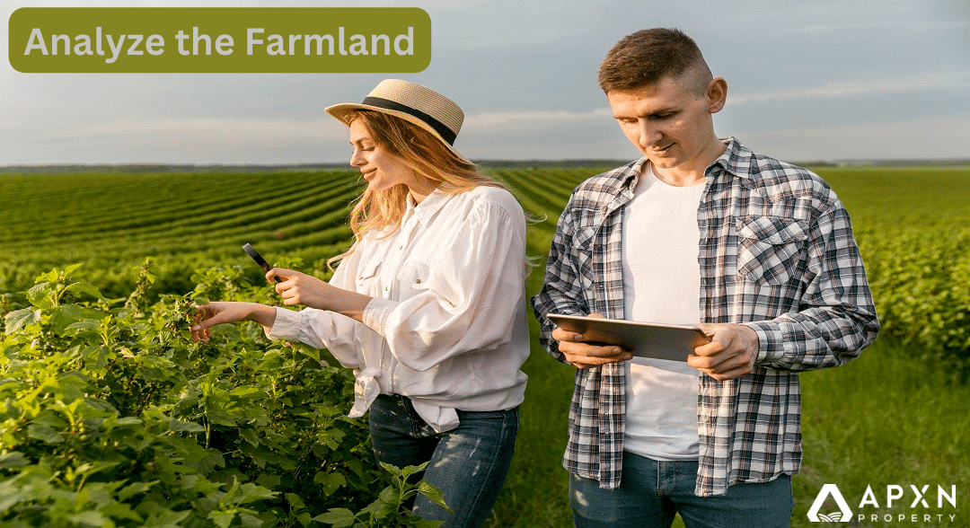 Analyze the Farmland