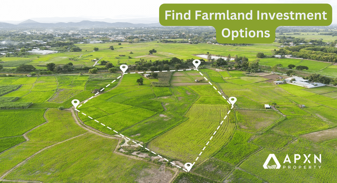 Find Farmland Investment Options