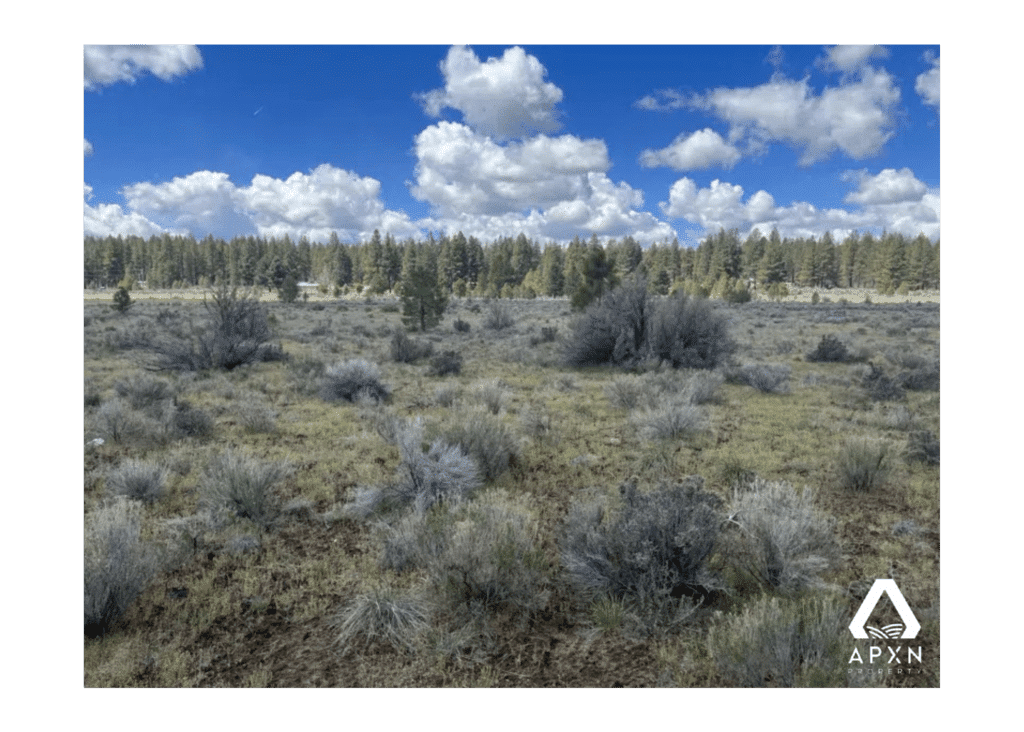 2 25 Acres Of Land For Sale In Klamath County OR APXN Property   2 19 