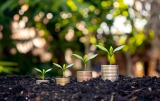 Land Investment