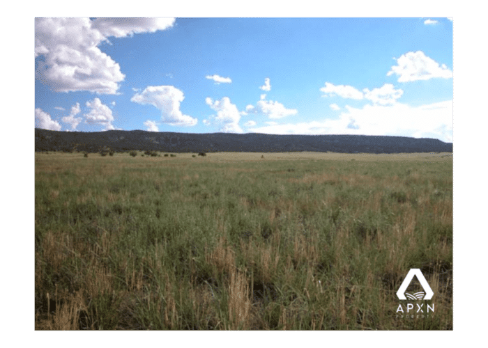 10.0 Acres, Apache County AZ, Parcel 204-37-005B