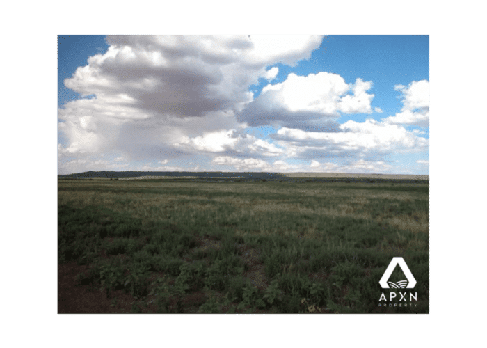 10.0 Acres, Apache County AZ, Parcel 204-37-005B - Image 2