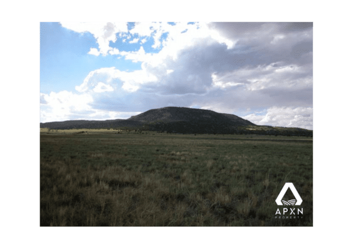 10.0 Acres, Apache County AZ, Parcel 204-37-005B - Image 3
