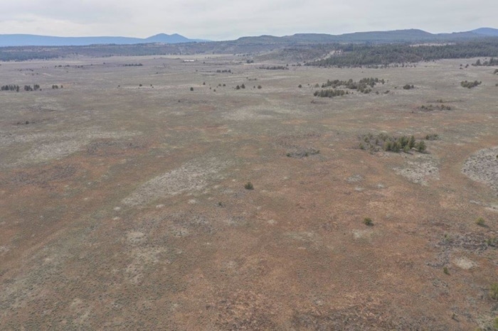 10.0 Acres, Klamath County OR, Parcel R290900 - Image 4