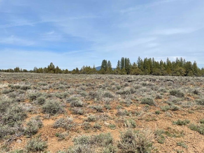 10.0 Acres, Klamath County OR, Parcel R290900 - Image 5