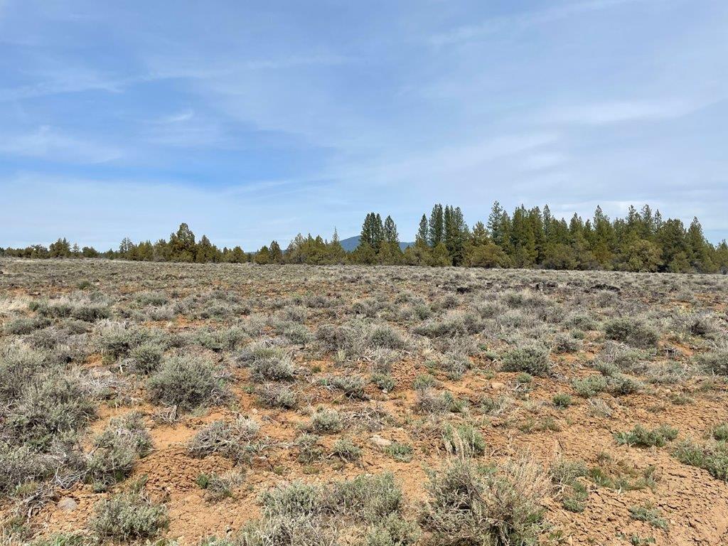 10 0 Acres Klamath County OR Parcel R290900 APXN Property   5 1 