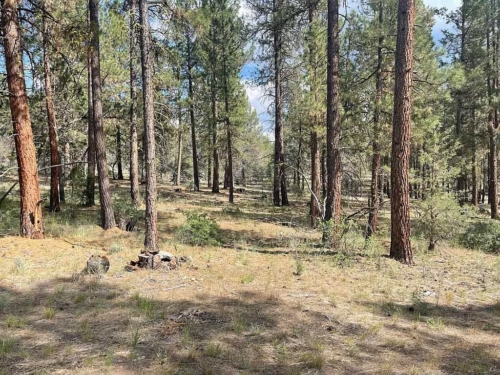 5 Acres, Klamath County OR, Perfect for Off-Grid Living & Recreation, Parcel R697017