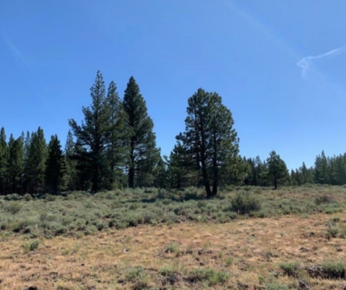 Serene Oregon Land Opportunity 9.86 Acres, Klamath, Oregon R181378