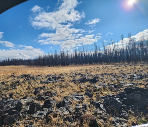 Perfect for Your Future Build 9.86 Acres, Klamath, Oregon R181323