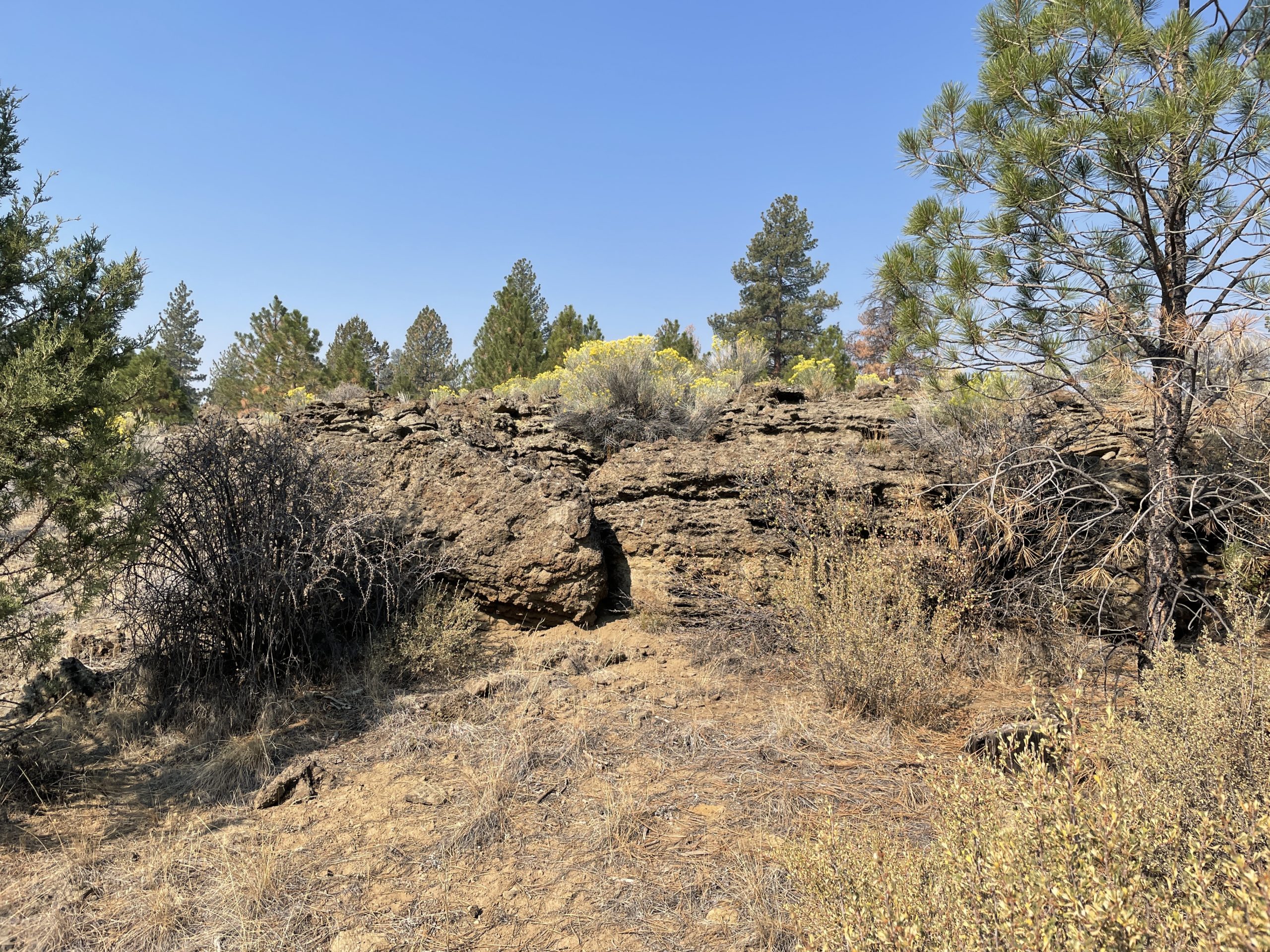 2.38 Acres, Klamath County OR, Parcel R263208 2.38 Acres, Klamath, Oregon Account 263208 / Map and Taxlot 3510-022D0-02100 - Image 6
