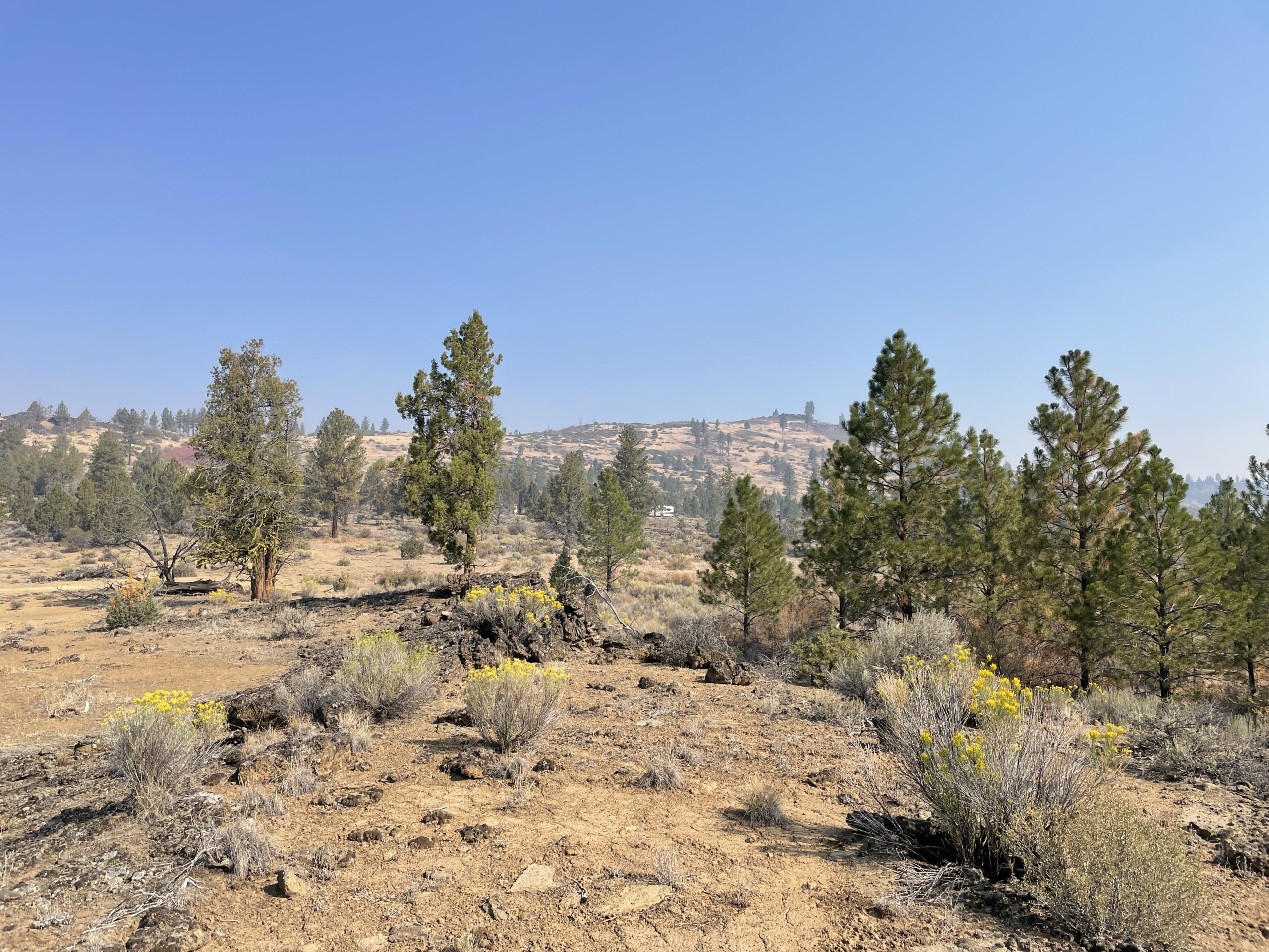 2.38 Acres, Klamath County OR, Parcel R263208 2.38 Acres, Klamath, Oregon Account 263208 / Map and Taxlot 3510-022D0-02100 - Image 4