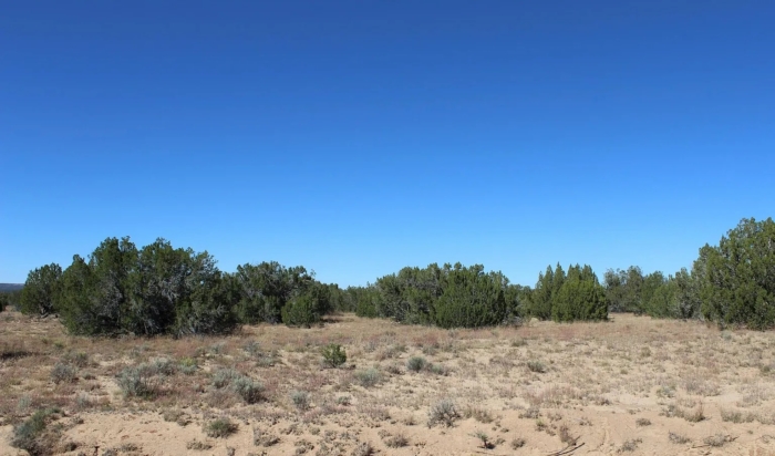 18.48 Acres, Apache County AZ, Parcel 205-11-064 - Image 13