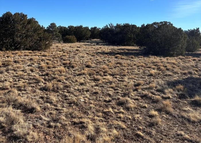 9.91 Acres, Apache County AZ, Parcel 201-52-010B 9.91 Acres, Apache, Arizona 201-52-010B - Image 2