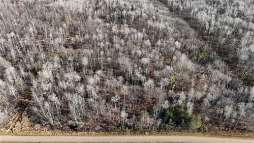 5.0 Acres, Sawyer County WI, Your Private Wisconsin Escape, Parcel 022-638-25-2304