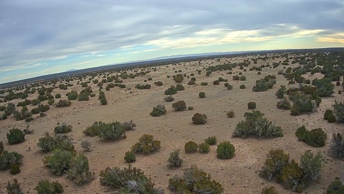 18.48 Acres, Apache County AZ, Parcel 205-11-064 - Image 2