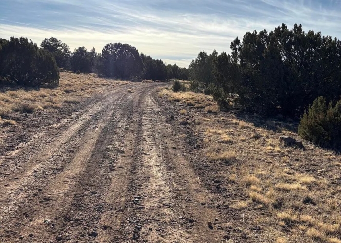 9.91 Acres, Apache County AZ, Parcel 201-52-010B 9.91 Acres, Apache, Arizona 201-52-010B - Image 4