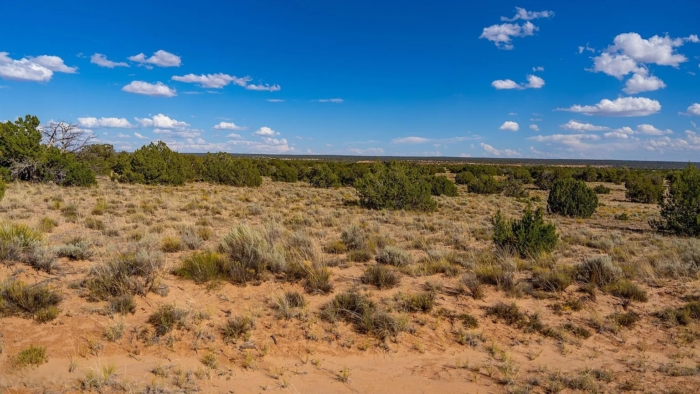 18.48 Acres, Apache County AZ, Parcel 205-11-064 - Image 15