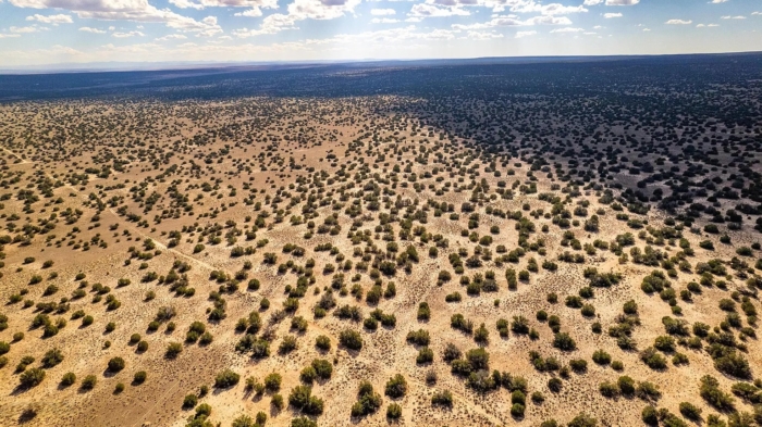 18.48 Acres, Apache County AZ, Parcel 205-11-064 - Image 17