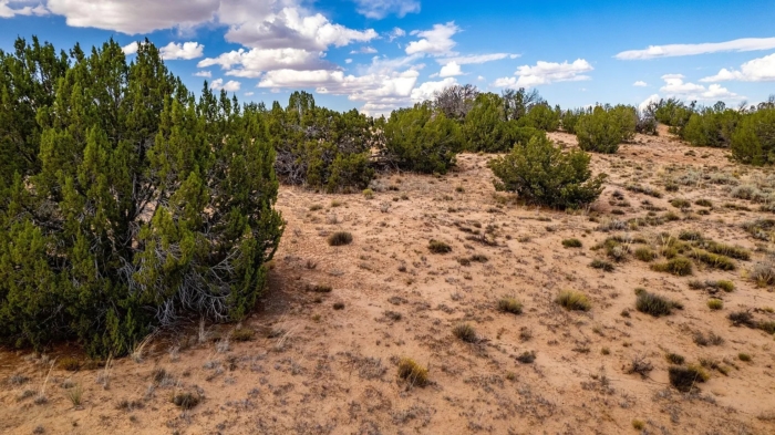 18.48 Acres, Apache County AZ, Parcel 205-11-064 - Image 18