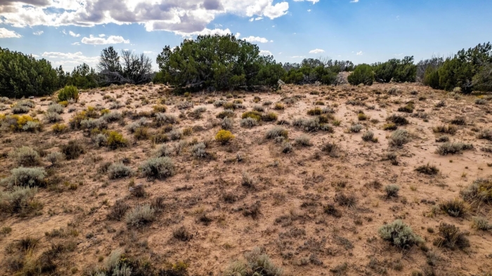 18.48 Acres, Apache County AZ, Parcel 205-11-064 - Image 20