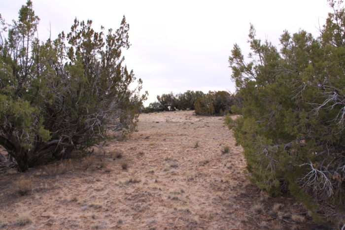 18.48 Acres, Apache County AZ, Parcel 205-11-064 - Image 3
