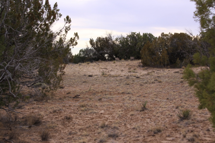 18.48 Acres, Apache County AZ, Parcel 205-11-064 - Image 4