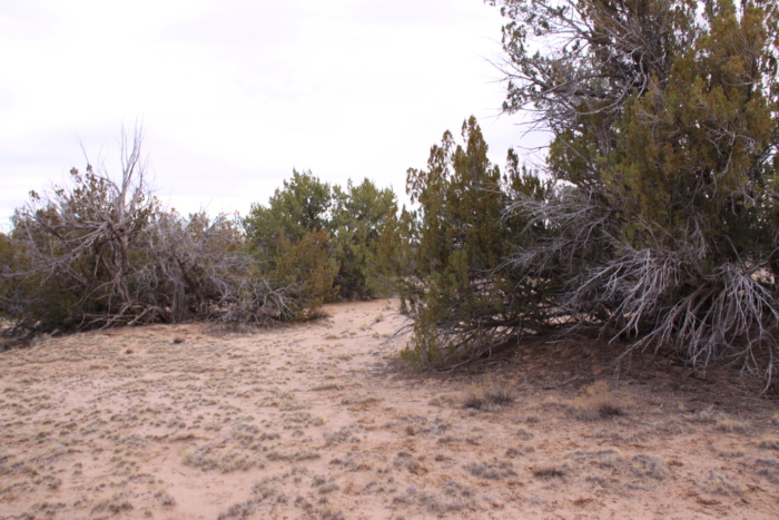 18.48 Acres, Apache County AZ, Parcel 205-11-064 - Image 6