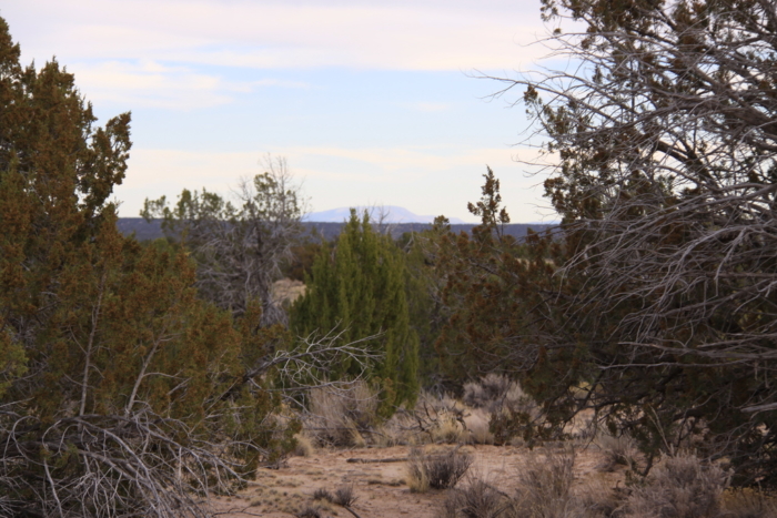 18.48 Acres, Apache County AZ, Parcel 205-11-064 - Image 7