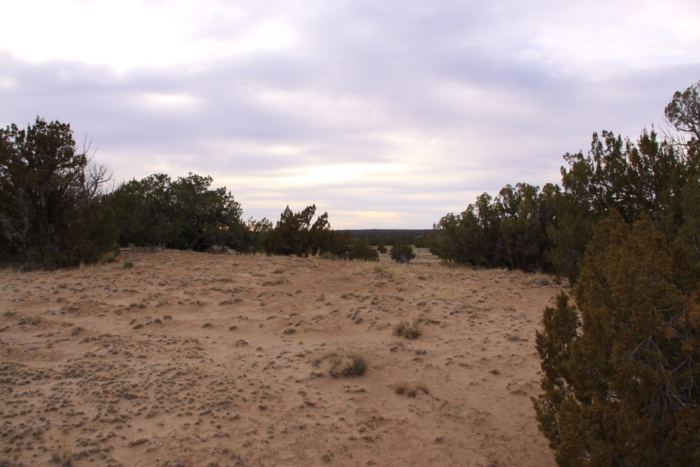 18.48 Acres, Apache County AZ, Parcel 205-11-064 - Image 8