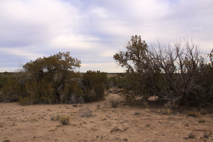18.48 Acres, Apache County AZ, Parcel 205-11-064 - Image 9