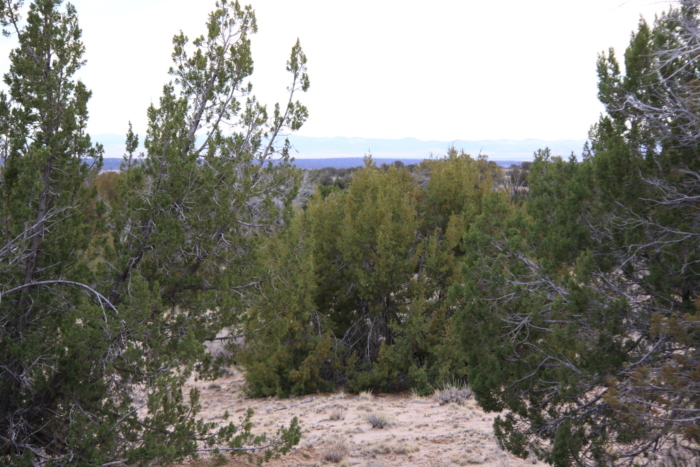 18.48 Acres, Apache County AZ, Parcel 205-11-064 - Image 10