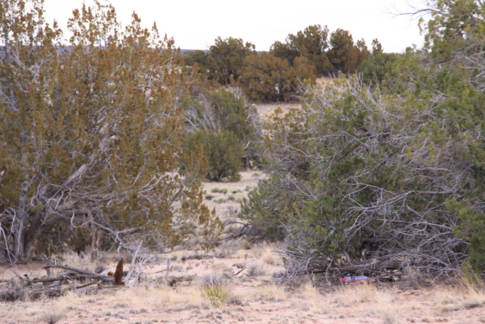 18.48 Acres, Apache County AZ, Parcel 205-11-064 - Image 12