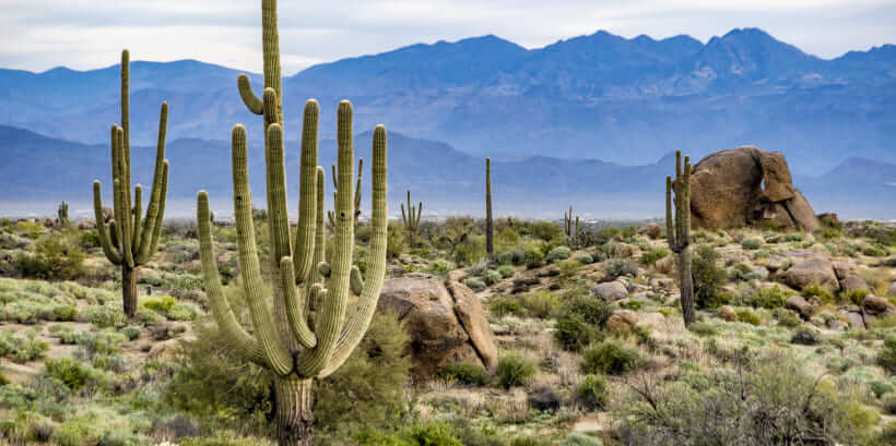 Scottsdale