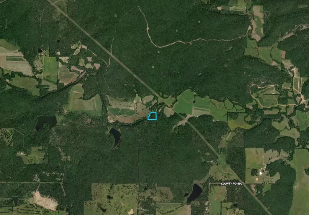 5 Acres, Butler County MO, Parcel 109-15-07-35-0-000-000-002-000 5 Acres, Butler, Missouri 15-07-35.0-000-000-002.000 - Image 11